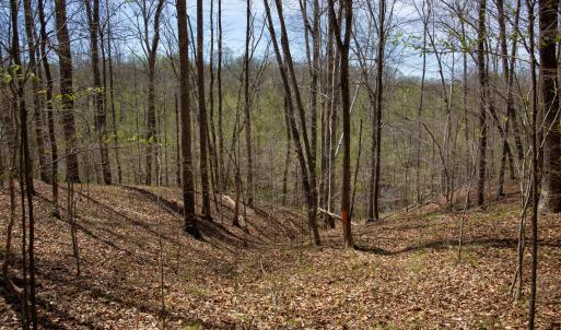 Doll Branch Road 16