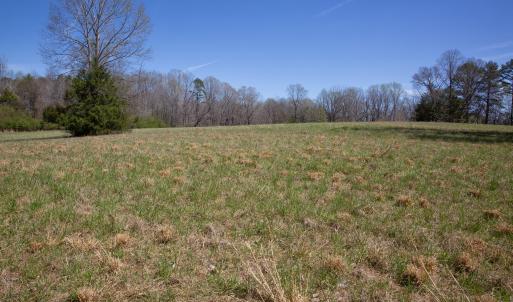 Doll Branch Road 5