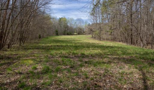 Doll Branch Road 40