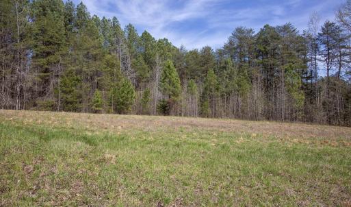 Doll Branch Road 37