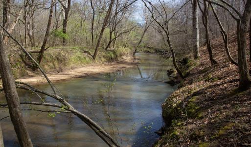 Doll Branch Road 29