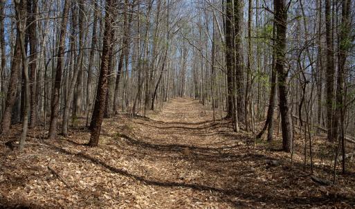 Doll Branch Road 27