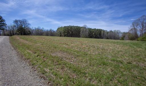 Doll Branch Road 2