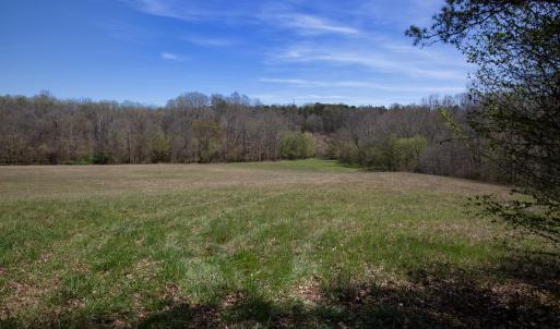 Doll Branch Road 17