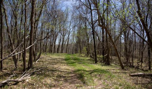 Doll Branch Road 13