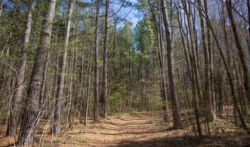 Doll Branch Road 12