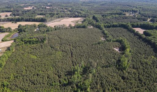 DJI_0788