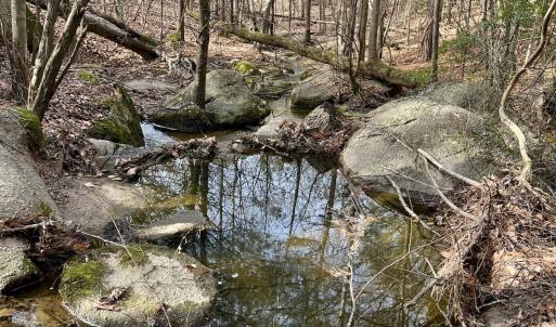 CREEK ON PROPERTY
