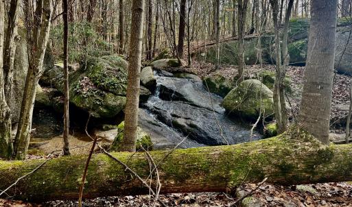 CREEK ON PROPERTY