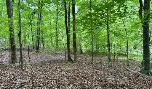 1025 Dairyland Rd. - Gentle Topography