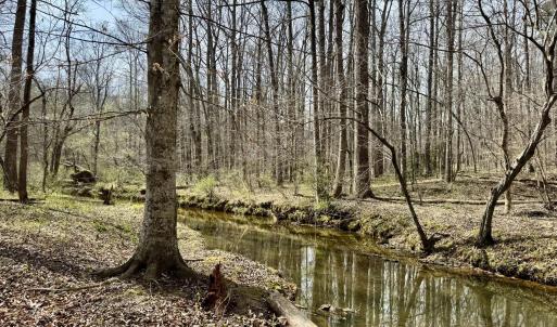 Morgan Creek below duplex