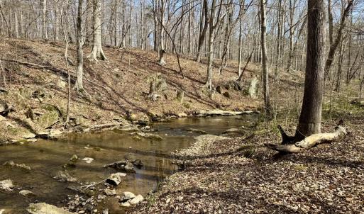 Morgan Creek below duplex 2