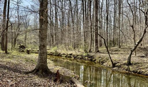 Photo #6 of 1025 Dairyland, Chapel Hill, NC 16.5 acres