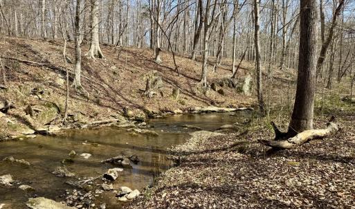 Photo #7 of 1025 Dairyland, Chapel Hill, NC 16.5 acres