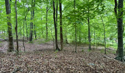 Photo #4 of 1025 Dairyland, Chapel Hill, NC 16.5 acres