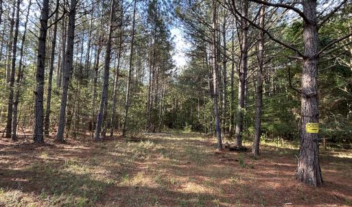 Photo #8 of Beaver Dam, Creedmoor, NC 19.6 acres