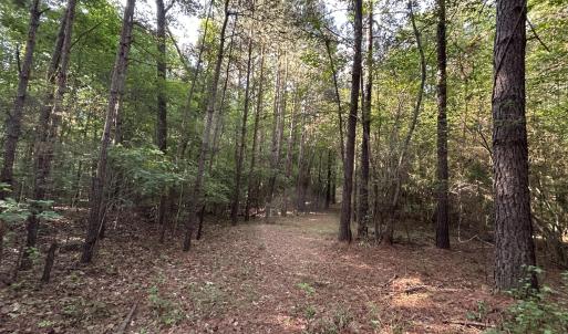 Photo #12 of Beaver Dam, Creedmoor, NC 19.6 acres