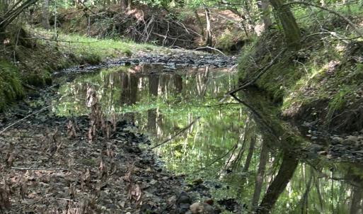 Photo #6 of Beaver Dam, Creedmoor, NC 19.6 acres