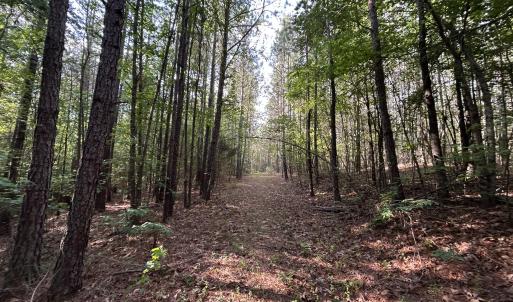 Photo #11 of Beaver Dam, Creedmoor, NC 19.6 acres