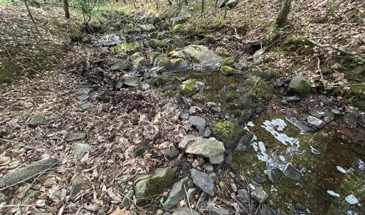 Photo #4 of Beaver Dam, Creedmoor, NC 19.6 acres
