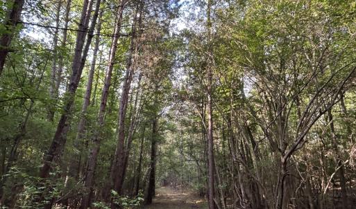 Photo #2 of Beaver Dam, Creedmoor, NC 19.6 acres