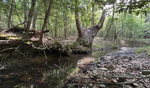 Photo #5 of Beaver Dam, Creedmoor, NC 19.6 acres