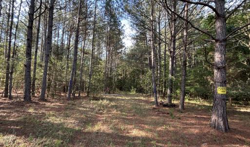 Photo #8 of Beaver Dam, Creedmoor, NC 19.6 acres