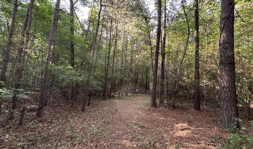 Photo #12 of Beaver Dam, Creedmoor, NC 19.6 acres