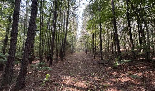 Photo #11 of Beaver Dam, Creedmoor, NC 19.6 acres