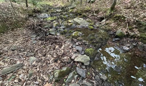 Photo #4 of Beaver Dam, Creedmoor, NC 19.6 acres