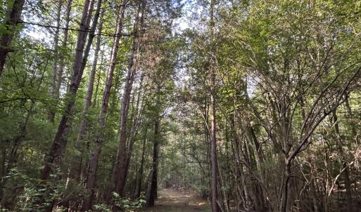 Photo #2 of Beaver Dam, Creedmoor, NC 19.6 acres
