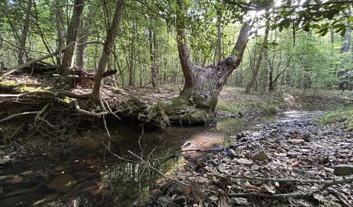 Photo #5 of Beaver Dam, Creedmoor, NC 19.6 acres