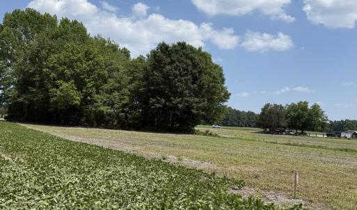 Photo #12 of Old Beulah, Kenly, NC 3.9 acres