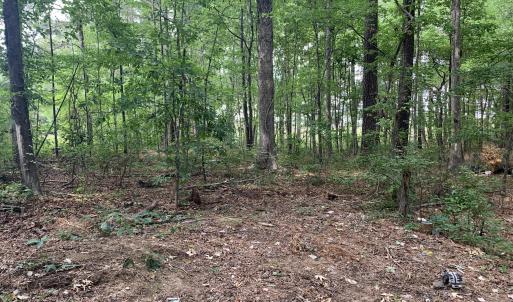 129 Green Side