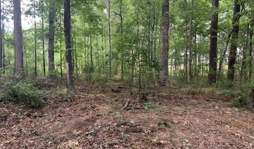 129 Wooded