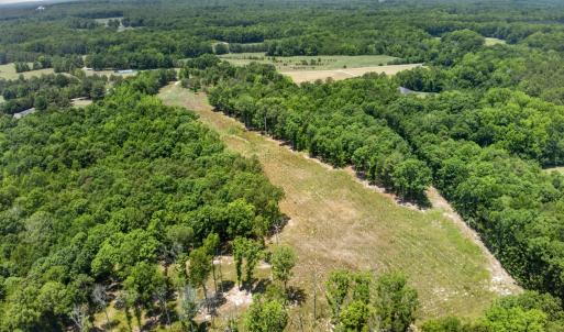 8-web-or-mls-11202 Rougemont Rd - 8