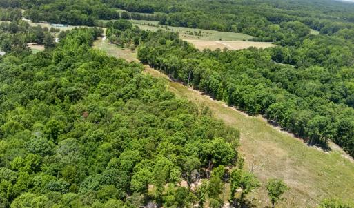 9-web-or-mls-11202 Rougemont Rd - 9