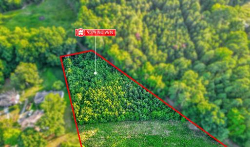 DJI_0053