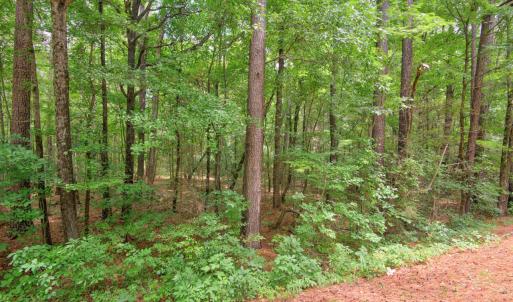 Photo #8 of Dodsons Crossroads, Hillsborough, NC 4.8 acres