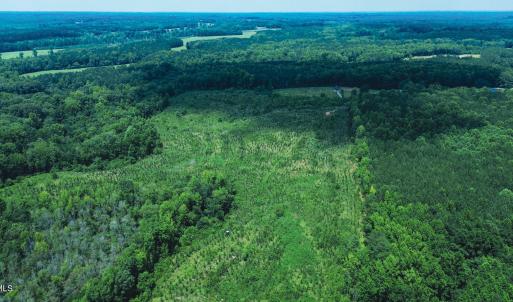 Photo #8 of 147 Hood Loop, Henderson, NC 57.0 acres