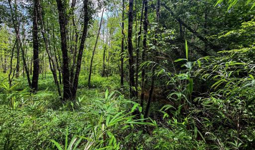 Photo #25 of 147 Hood Loop, Henderson, NC 57.0 acres