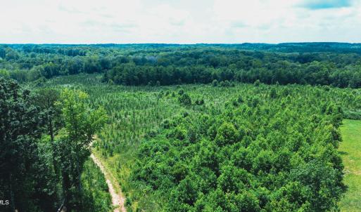 Photo #19 of 147 Hood Loop, Henderson, NC 57.0 acres