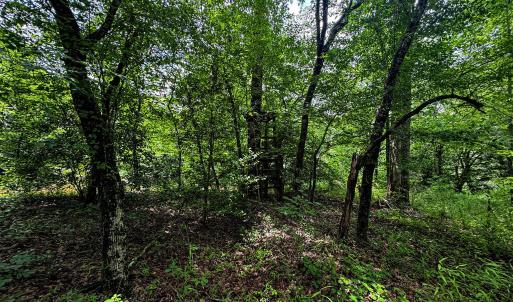 Photo #28 of 147 Hood Loop, Henderson, NC 57.0 acres