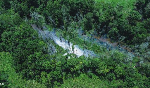 Photo #14 of 147 Hood Loop, Henderson, NC 57.0 acres