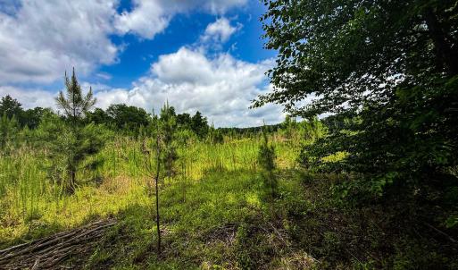 Photo #32 of 147 Hood Loop, Henderson, NC 57.0 acres