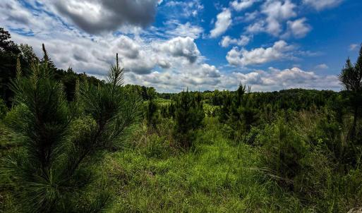 Photo #30 of 147 Hood Loop, Henderson, NC 57.0 acres