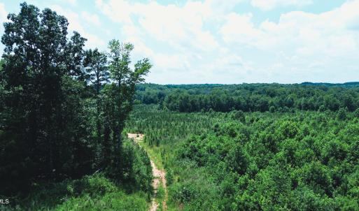 Photo #21 of 147 Hood Loop, Henderson, NC 57.0 acres
