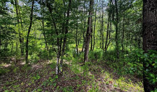 Photo #31 of 147 Hood Loop, Henderson, NC 57.0 acres