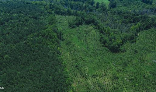 Photo #6 of 147 Hood Loop, Henderson, NC 57.0 acres