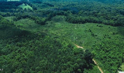 Photo #24 of 147 Hood Loop, Henderson, NC 57.0 acres